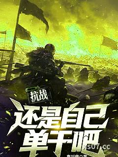 抗战，还是自己单干吧小说封面-秦叫瘦-都市