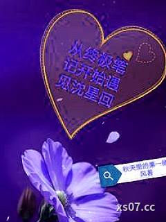 从终极笔记开始遇见沈星回小说封面-秋天里的第一缕风-穿越重生