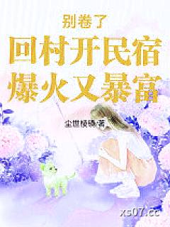 别卷了！回村开民宿，爆火又暴富 作者：尘世棱镜 分类：小说