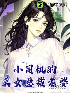小司机的美女总裁老婆小说封面-最爱老板娘-都市