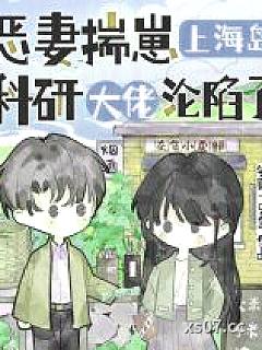 恶妻揣崽上海岛，科研大佬沦陷了 作者：锦鲤一只鱼
