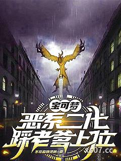 宝可梦：恶系二代，踩老爹上位小说封面-不吃麻辣烫啊-穿越重生