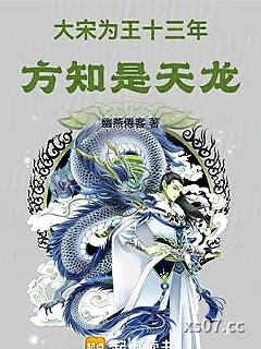 大宋为王十三年，方知是天龙