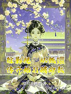 综影视：从甄嬛传开始打破命数 作者：望月千鹤 分类：小说