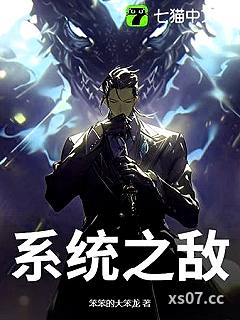 系统之敌 作者：笨笨的大笨龙 分类：小说