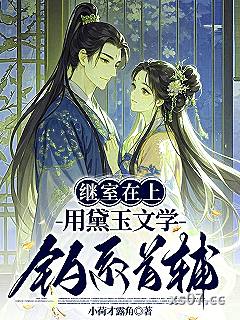 继室在上:用黛玉文学钓系首辅 作者:小荷才露角 分类:小说