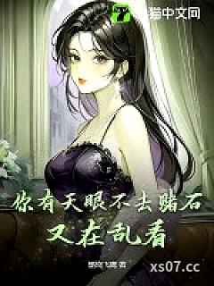 你有天眼不去赌石，又在乱看 作者：燃烧飞鹰 分类：小说
