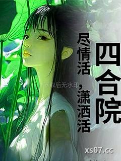 四合院尽情活，潇洒活小说封面-心情正好-穿越重生