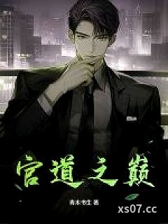 官道之巅 作者：青木书生