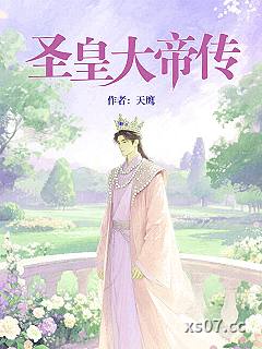 圣皇大帝传小说封面-天鹰-都市