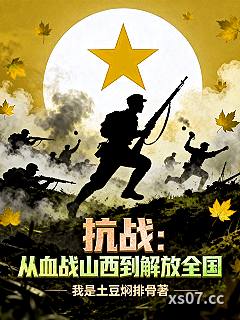 抗战：从血战山西到解放全国小说封面-我是土豆焖排骨-都市