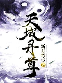 天域丹尊 作者：新月弯弓 分类：小说