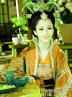 全京城都笑我傻妃王爷却宠她入骨小说封面-小悬浮-玄幻