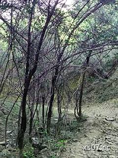 万域仙踪 作者：山风淼淼