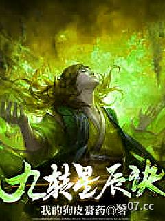 九转星辰诀小说封面-我的狗皮膏药-奇幻
