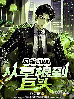 回档2008，从草根到巨头 作者：撼天阙 分类：小说