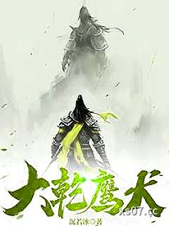 武侠穿越，开局学会杨家枪小说封面-沉若冰-历史