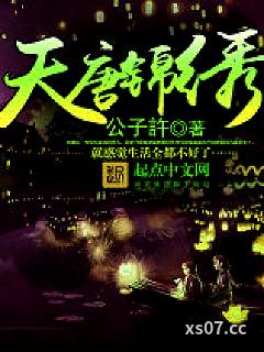 天唐锦绣小说封面-公子许-历史