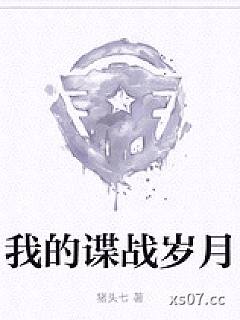 我的谍战岁月