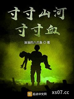 寸寸山河寸寸血小说封面-油油的八爪鱼-军事