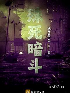 殊死暗斗小说封面-秋月春风矣-军事