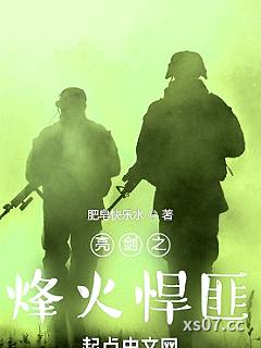 亮剑之烽火悍匪小说封面-肥皂快乐水-军事