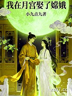 我在月宫娶了嫦娥小说封面-小九点九-现代都市