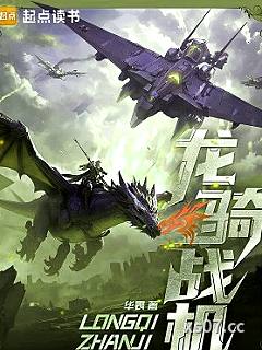 龙骑战机 作者：华表 分类：小说