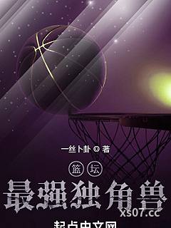 篮坛最强独角兽 作者:一丝卜卦 分类:小说