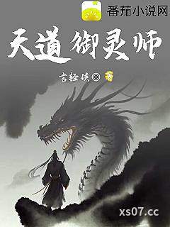 天道御灵师小说封面-言轻侯-仙侠