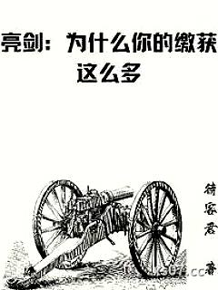 亮剑：为什么你的缴获这么多 作者：待客君 分类：小说