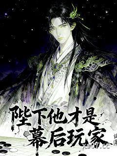 陛下他才是幕后玩家 作者：试箫 分类：小说