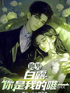 跑男：白露你是我的唯一小说封面-梦见一只小鹿-穿越重生