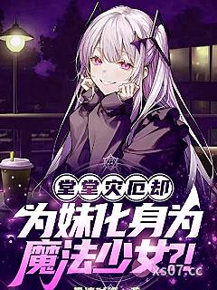 堂堂灾厄却为妹化身为魔法少女？ 作者：星凛时谣 分类：小说