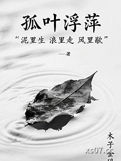 孤叶浮萍小说封面-爱吃胡萝卜的木子金冈-都市