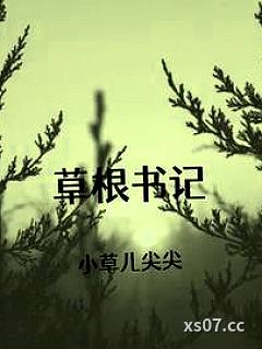 草根书记