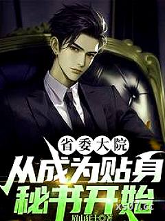 官场红人，从分手遇到女书记开始小说封面-眉山狂士-都市