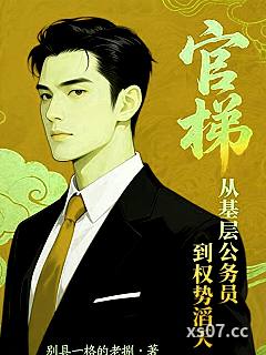 官梯：从基层公务员到权势滔天 作者：别具一格的老捌 分类：小说
