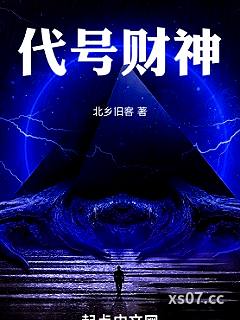 代号财神