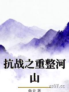 抗战之重整河山