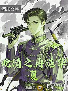 晚清之再造华夏小说封面-北青龙-历史