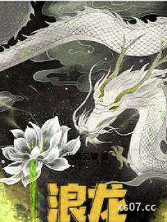 浪龙小说封面-光暗无疆-玄幻