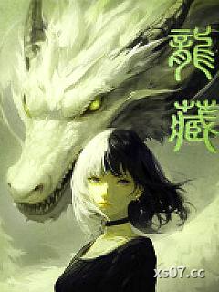 龙藏