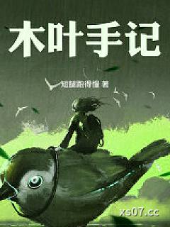 木叶手记
