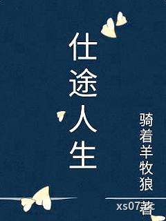 仕途人生小说封面-骑着羊牧狼-都市