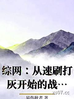 综网：从速刷打灰开始的战斗天选小说封面-易伤秋者-奇幻