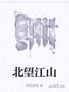 北望江山小说封面-孤独麦客-军事