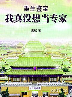重生鉴宝：我真没想当专家 作者：眀智