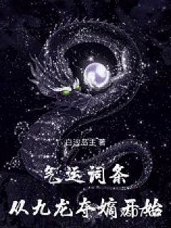 气运词条，从九龙夺嫡开始小说封面-白沙岛主-玄幻