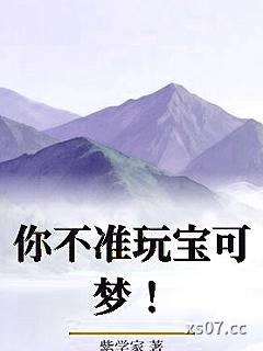 你不准玩宝可梦！小说封面-紫学家-游戏